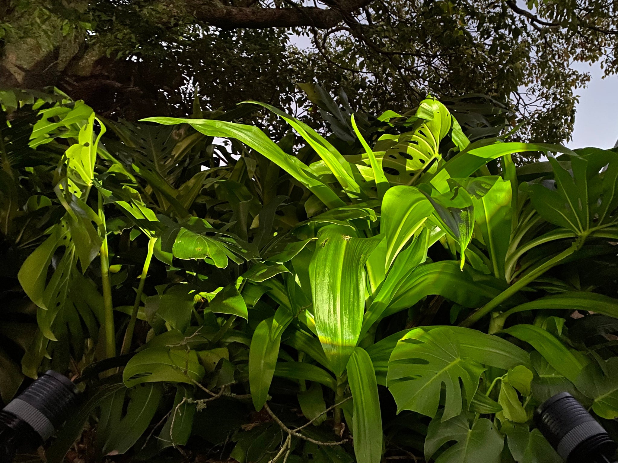 Solar Adjustable Twin Spot Light