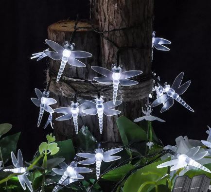 SECONDS - Dragonfly solar - 5M