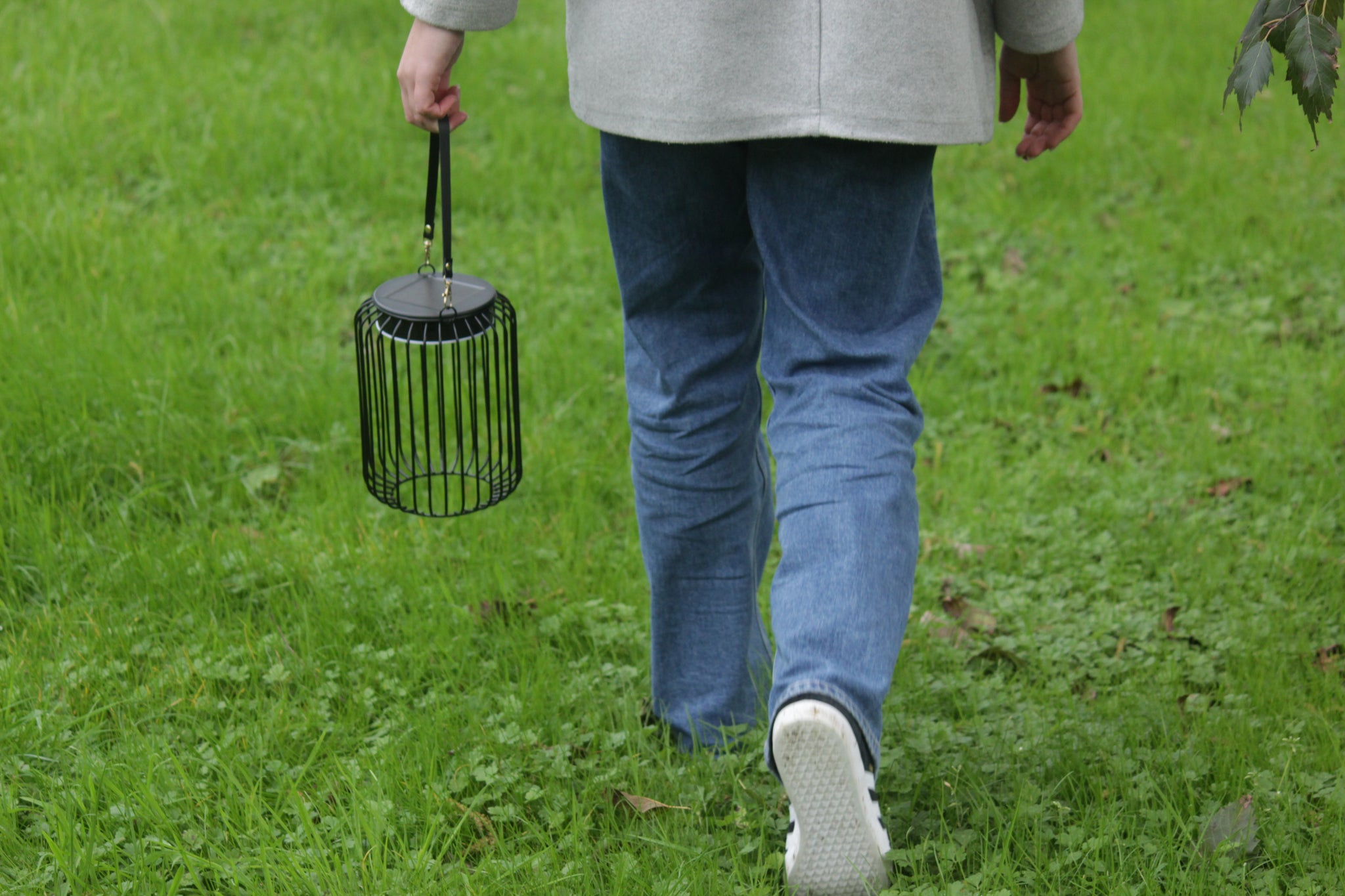 Black Solar Caged Lantern
