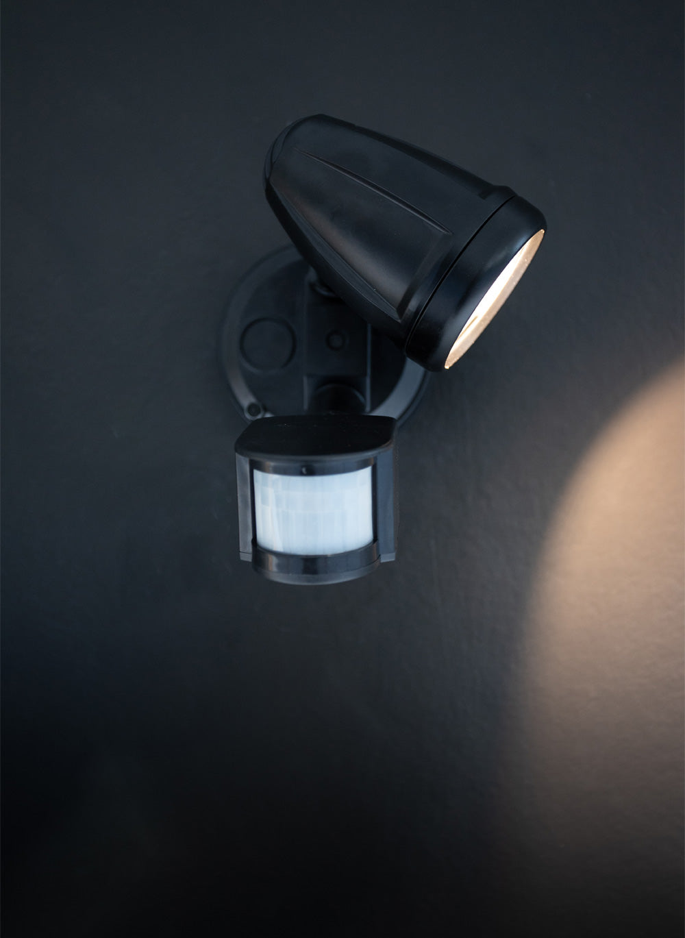 Single Security Light Black
