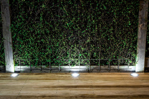 Solar Deck Light