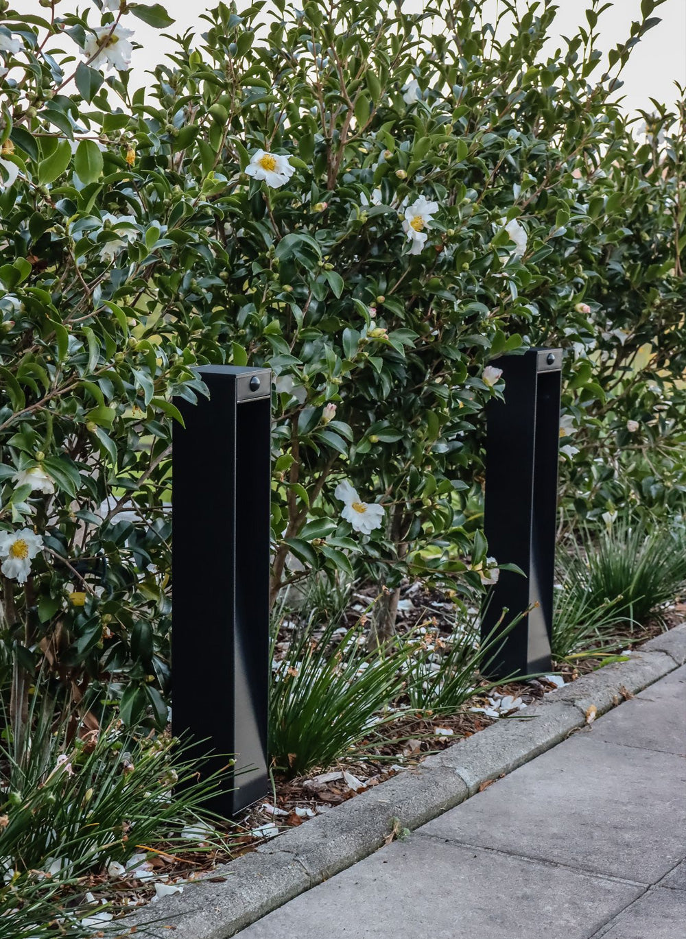 Solar Architectural Path Light – Vectral Lighting